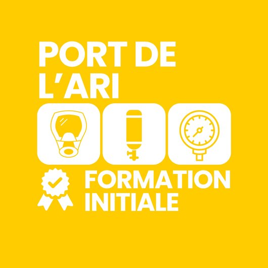 logo port ARI.jpg